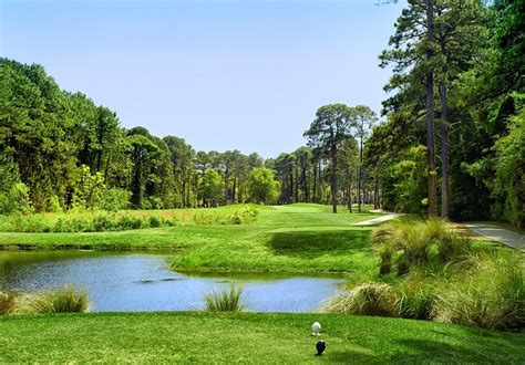 Palmetto hall golf - The Heritage Golf Group, which owns and operates Hilton Head Island-based Oyster Reef, Port Royal and Shipyard Golf Clubs, recently acquired Palmetto Golf and Country Club, expanding its island folio to 117 total holes of golf. Opened in the early 90s, the 36-hole venue features layouts designed by Arthur Hills and Robert Cupp.